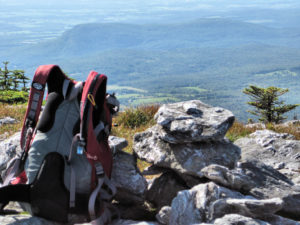 Mt. Abraham on the Long Trail