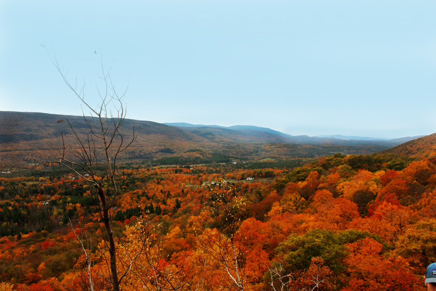 New England fall foliage in Vermont 