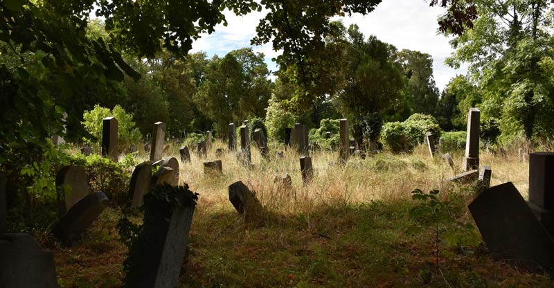 Overgrown cemetery -Pixabay