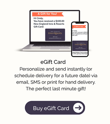eGift card on a laptop and phone, with delivery options text and "Buy eGift Card" button.