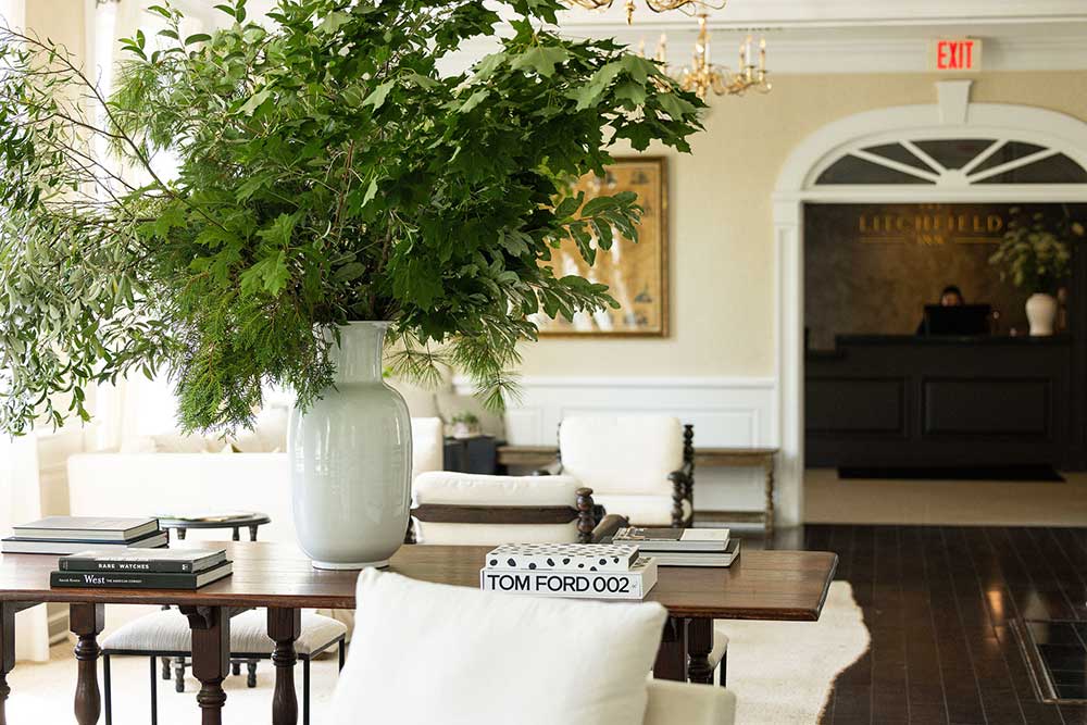 Elegant lobby with large leafy plant and white furniture. Dark floor and bright walls.