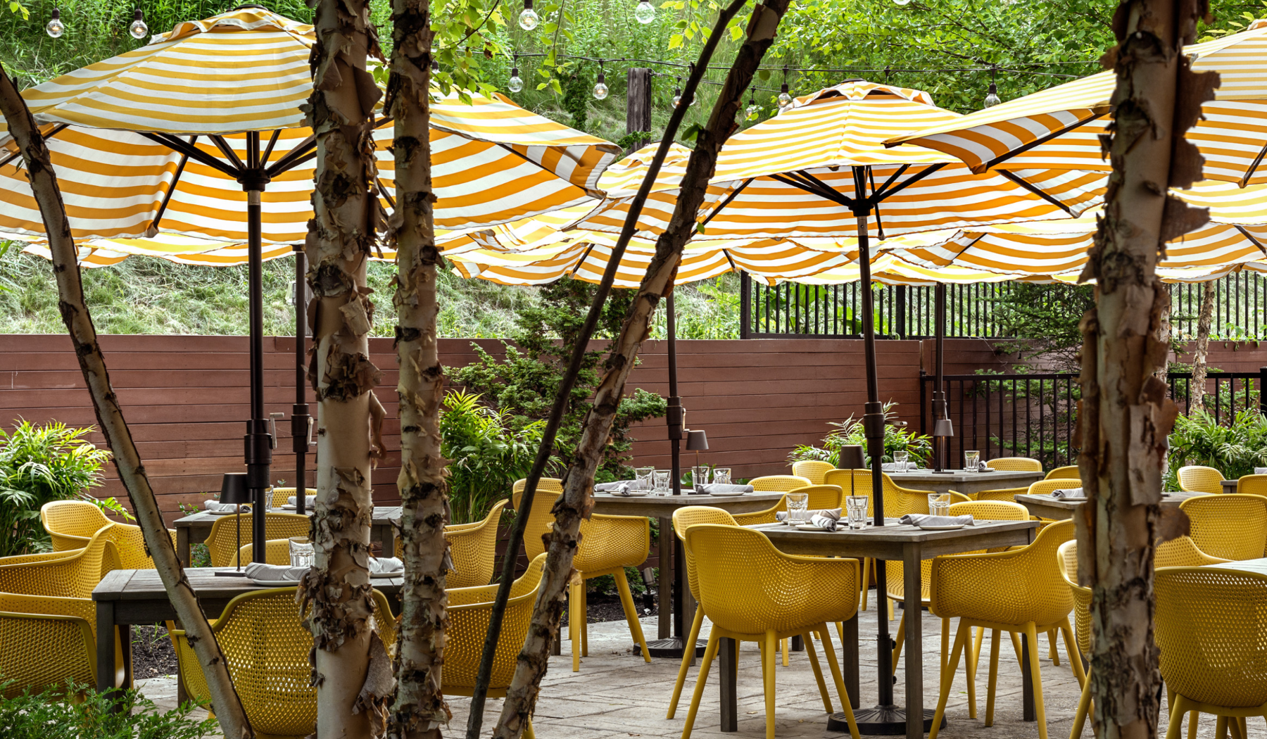 Outdoor cafe with yellow chairs and striped umbrellas amidst trees.