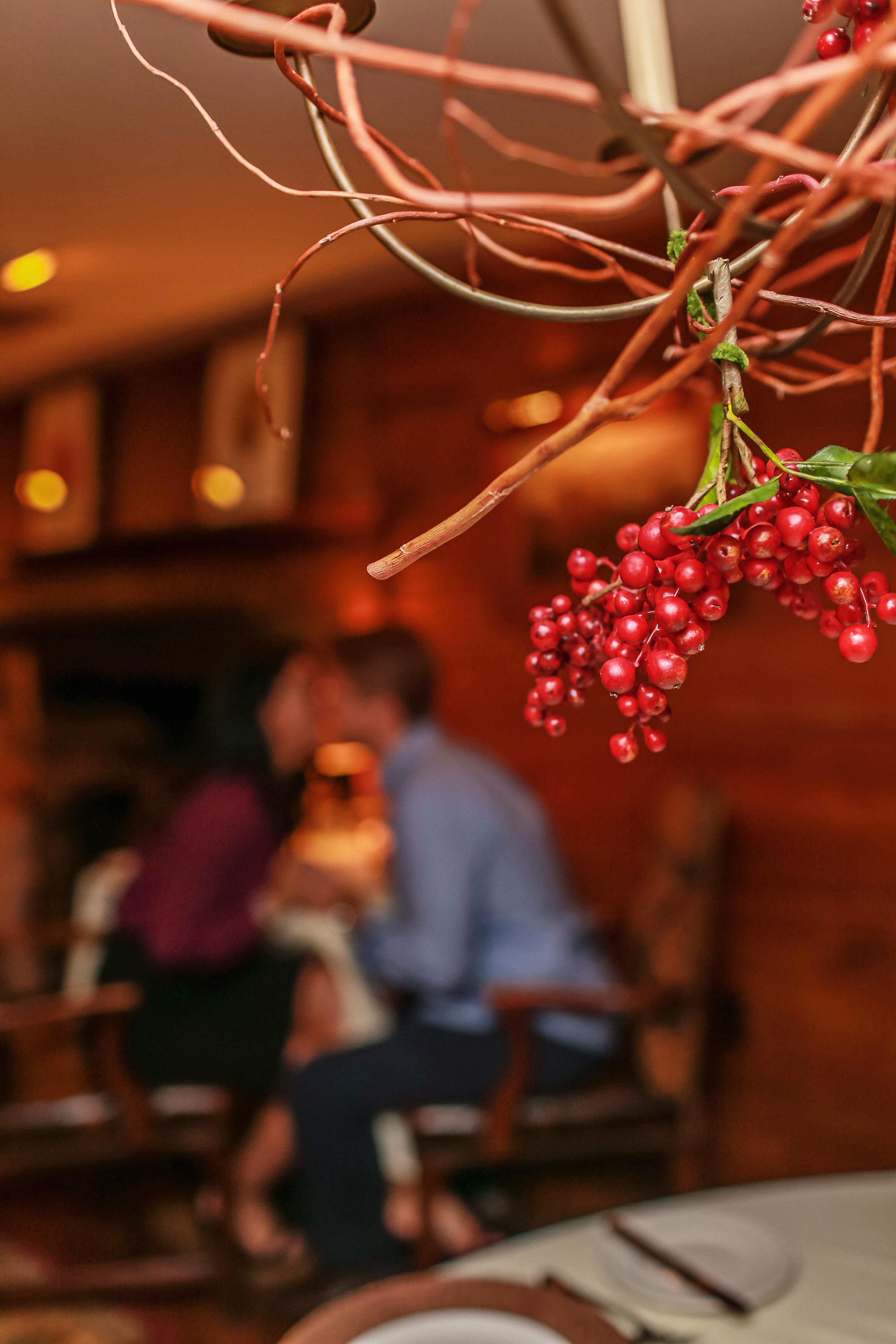Red berries in focus, couple blurred in a cozy room.