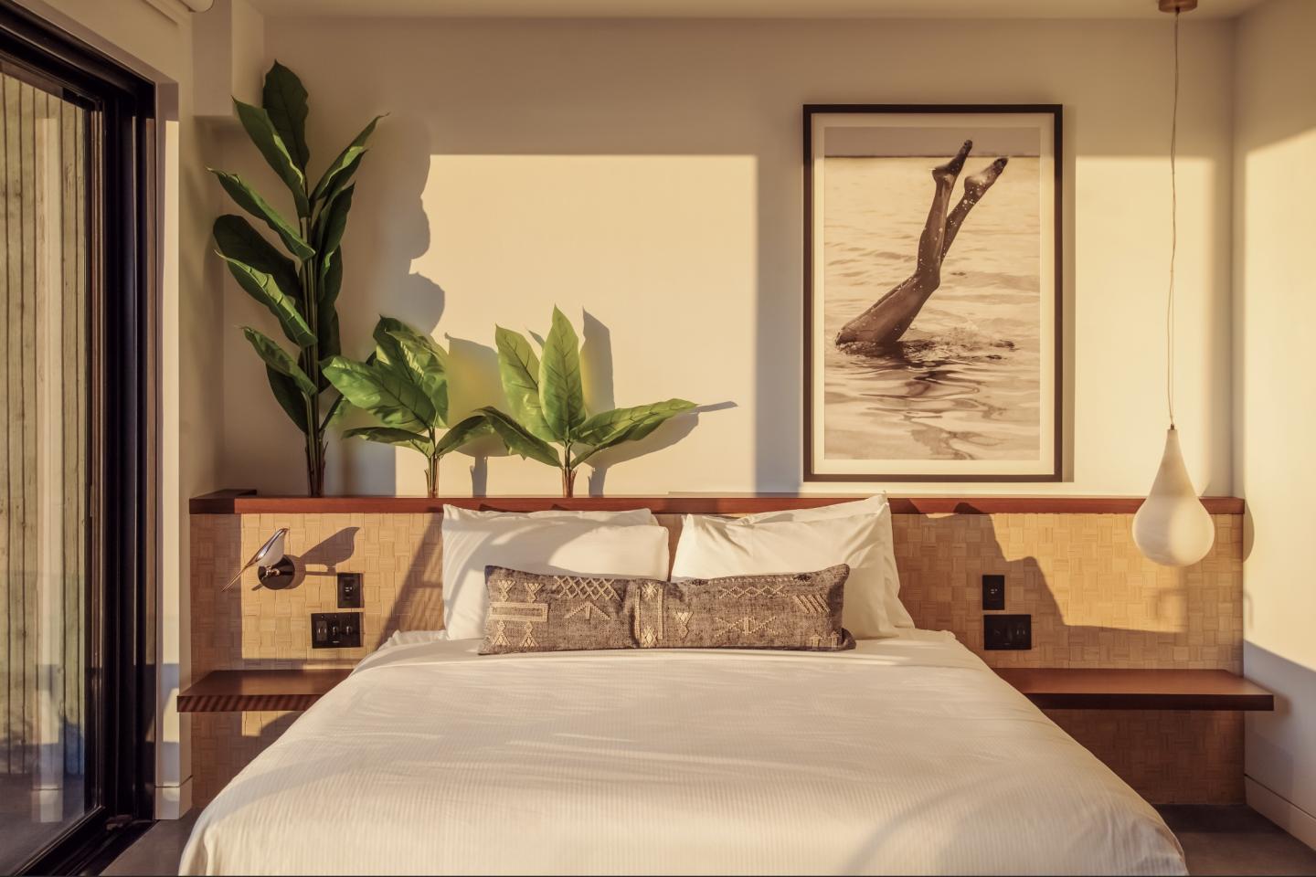 Cozy bedroom with large bed, leafy plants, and framed art on wall.