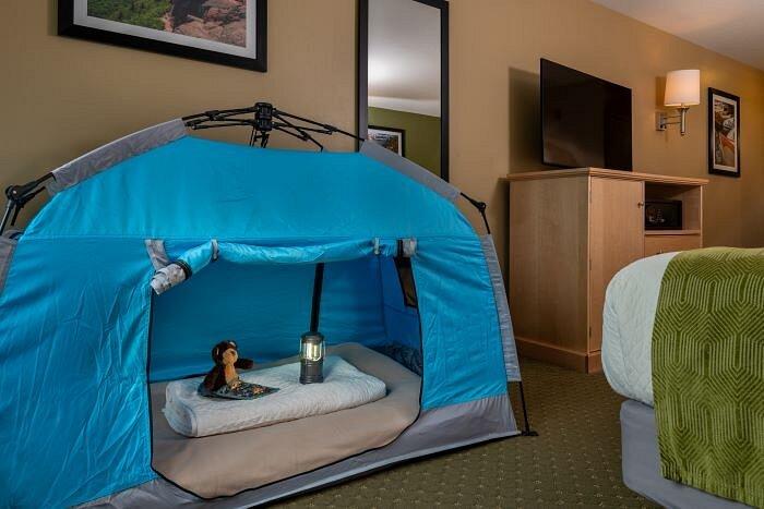 Blue pet tent with bed in a cozy hotel room.