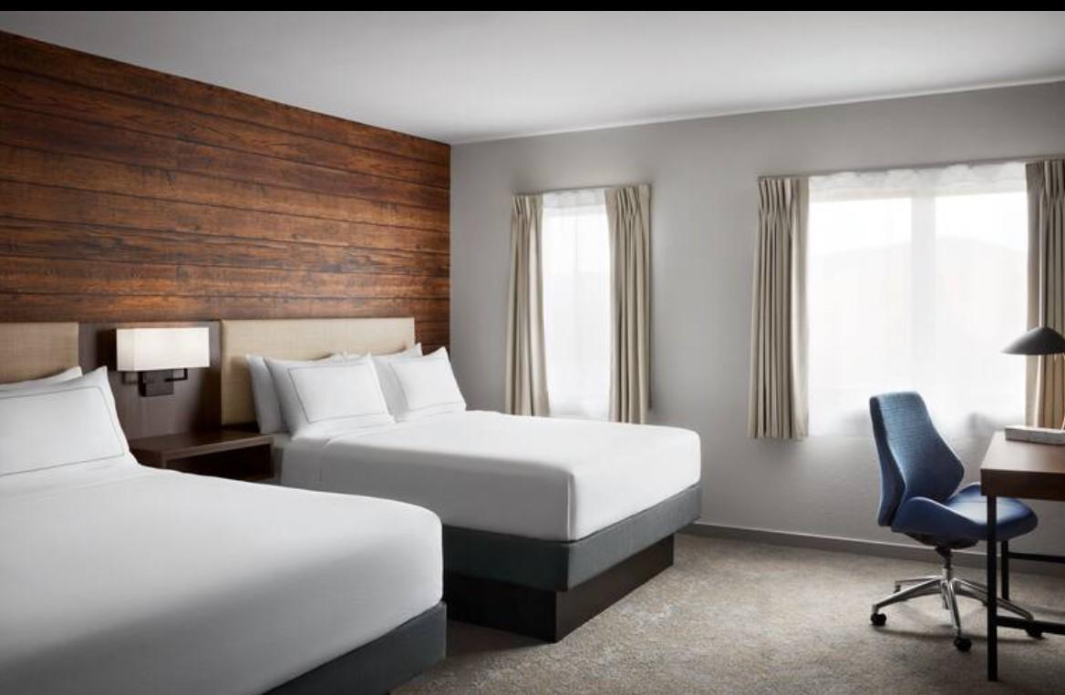 Two cozy beds in a hotel room with a wooden accent wall and desk.