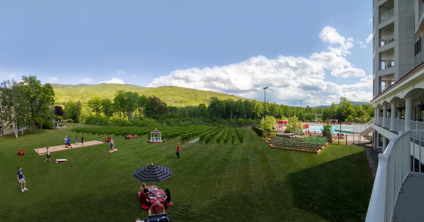 Lawn with people playing games, building and hills in the background.