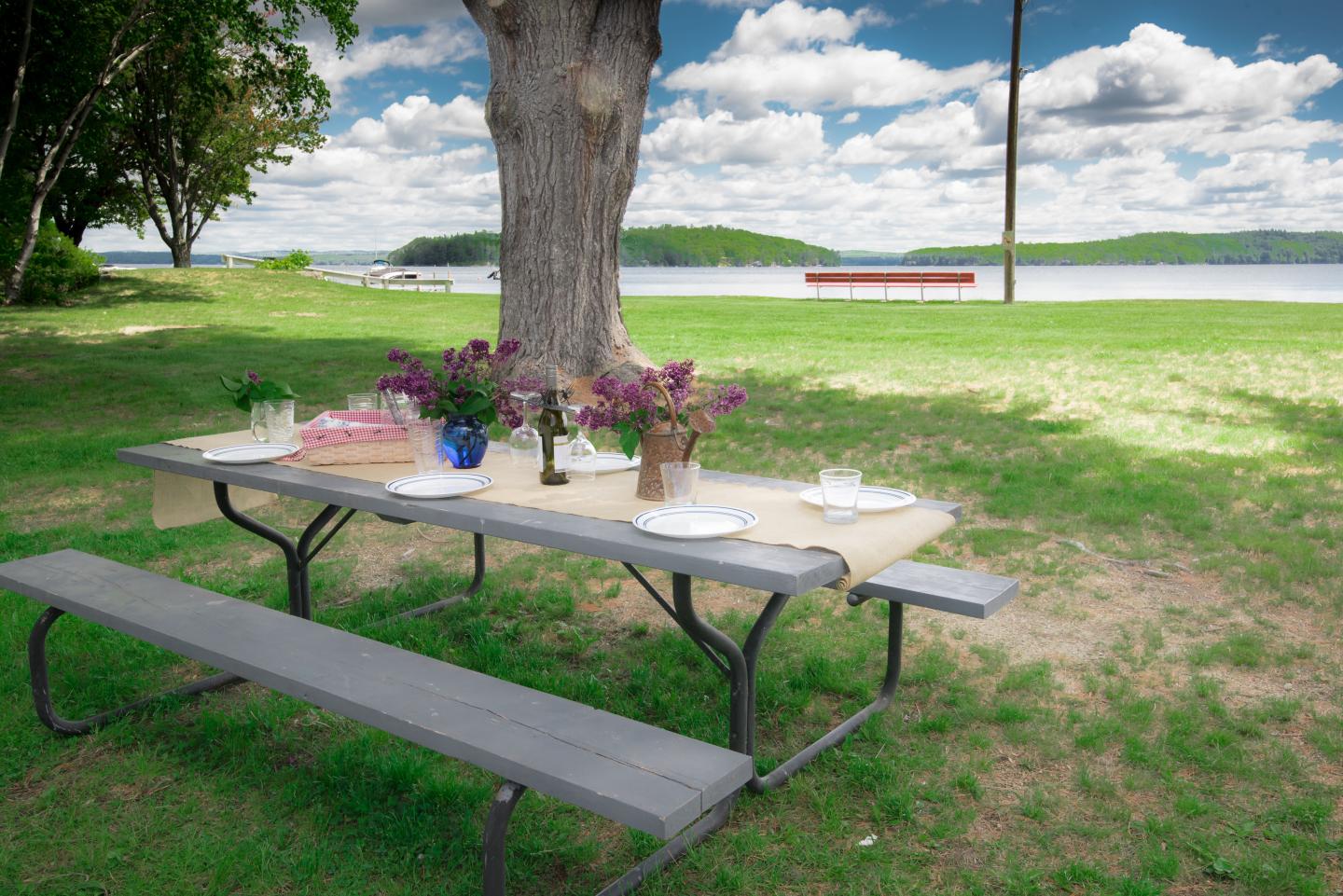 Picnic table by a lake 