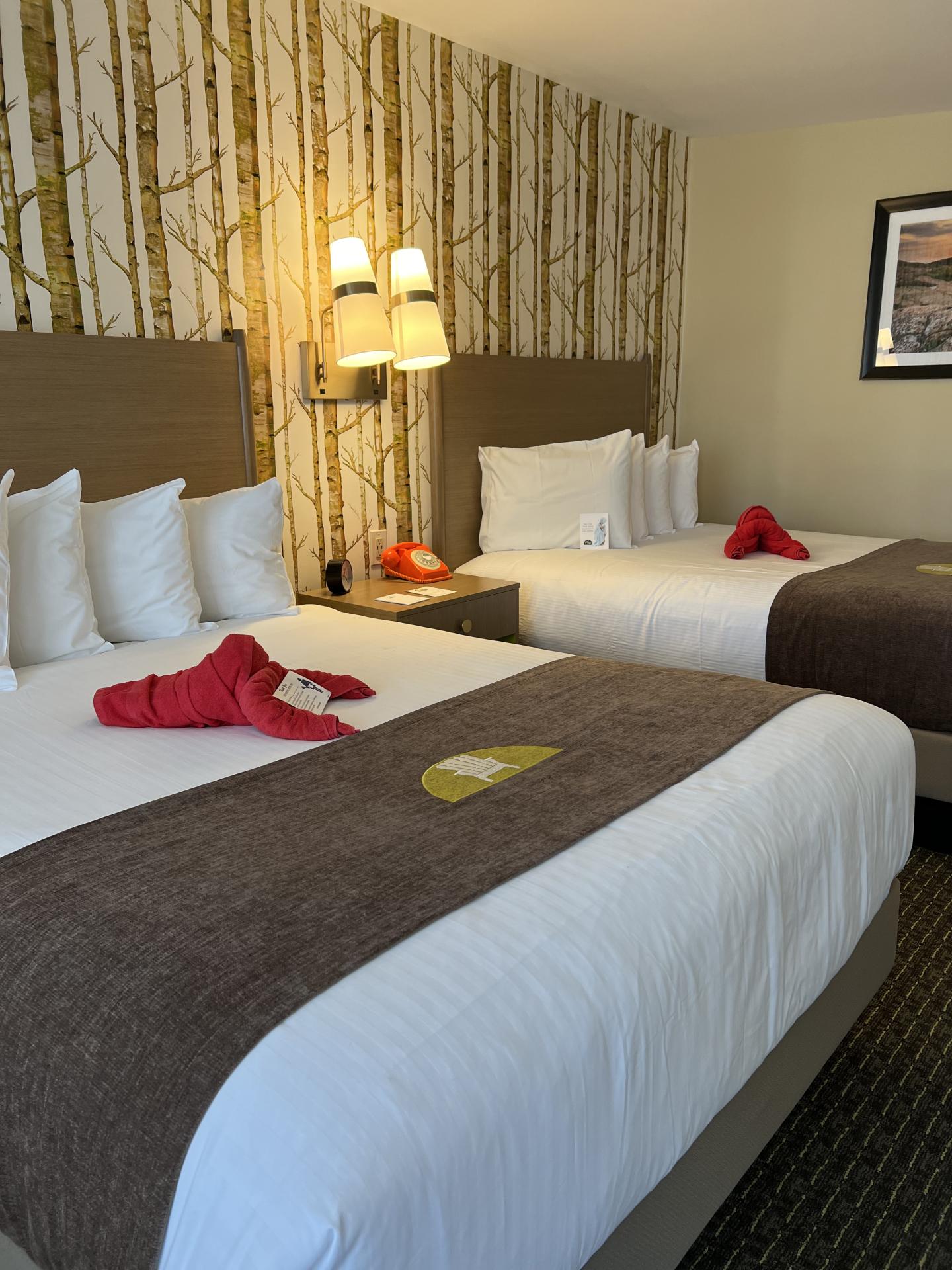 Two neatly made beds in a hotel room with red towel decorations.