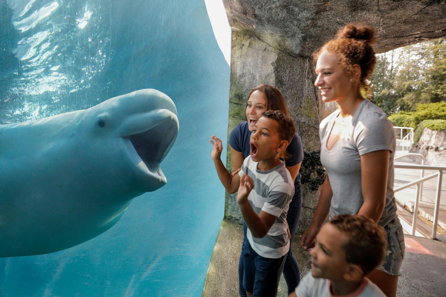 Family watching a beluga whale through an aquarium glass, all smiling and excited.