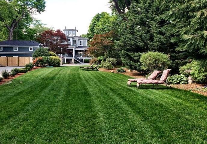Manicured lawn with lounge chairs beside a large house and trees.