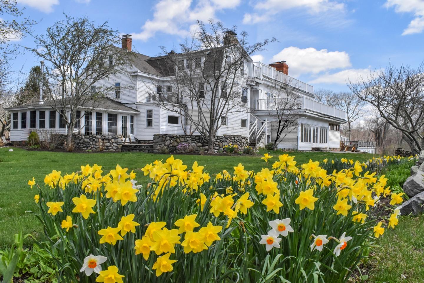 Large white house with blooming yellow daffodils in the foreground.