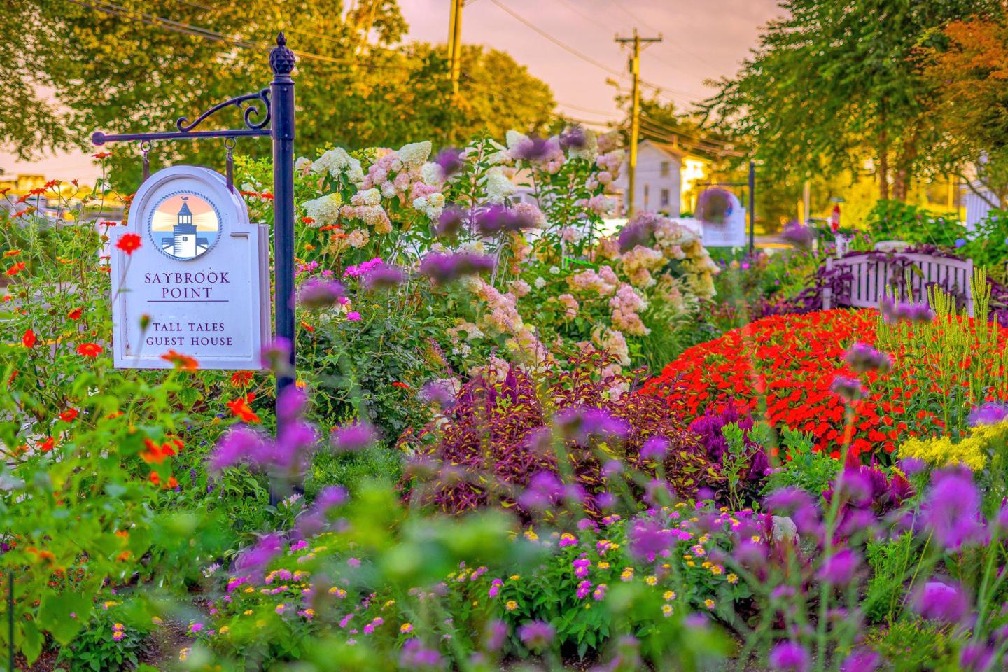 Colorful garden with various flowers and a small sign, under a warm evening sky.