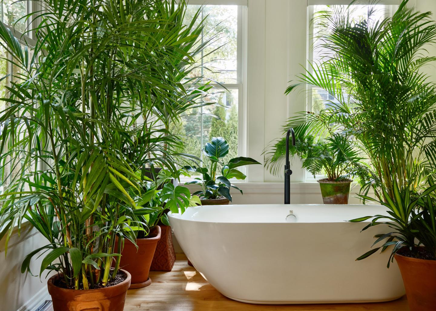 Freestanding bathtub surrounded by lush potted plants in a bright room.
