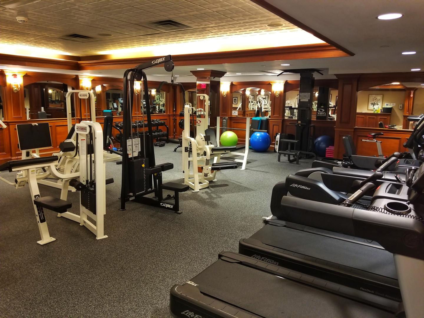 Well-equipped gym with treadmills, weights, and exercise balls.