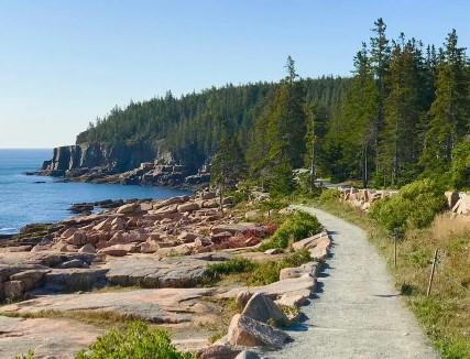 Coastal path with rocky shoreline and pine trees under a clear blue sky.