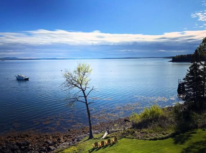 Calm sea with distant boat, lone tree, and grassy shore under a blue sky.