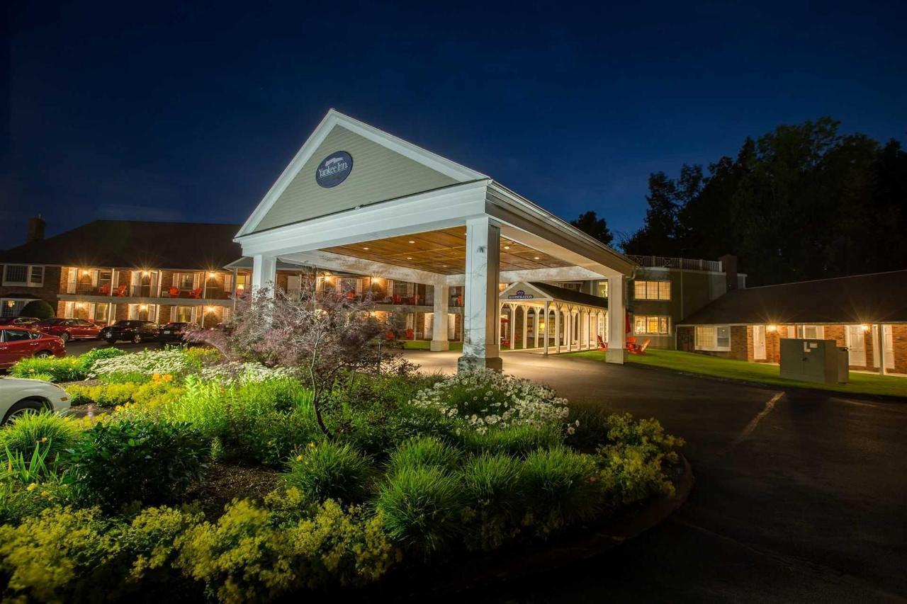 Hotel entrance at night, illuminated with colorful garden and dark sky.