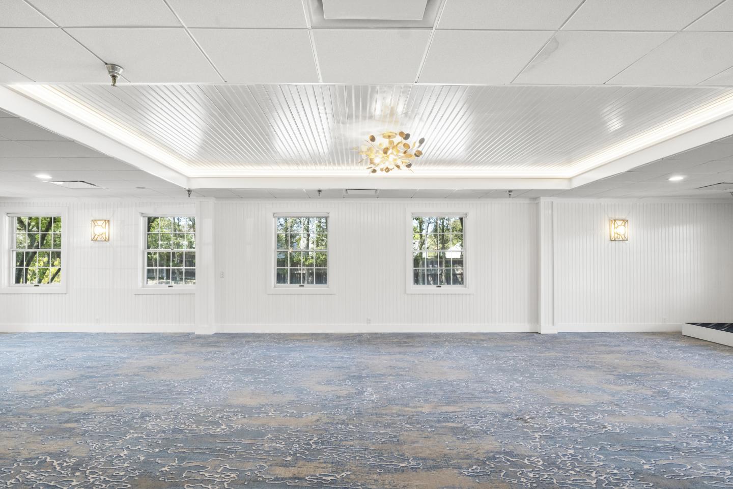 Spacious, empty room with blue carpet, white walls, ceiling lights, and large windows.