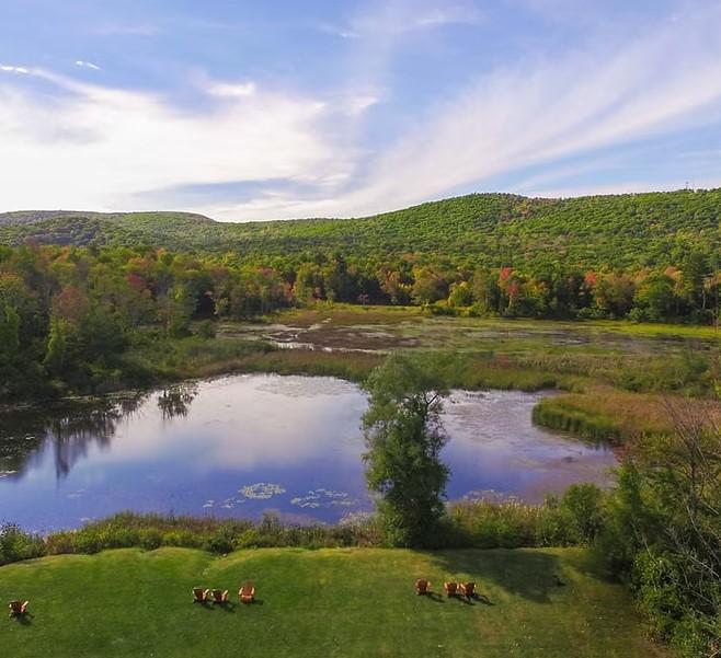 Lake with grassy shore, surrounded by trees, under a blue sky with wispy clouds.