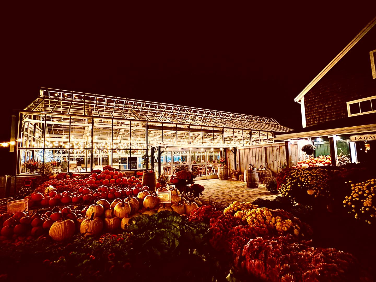 A warmly lit greenhouse at night, surrounded by colorful pumpkins and flowers.
