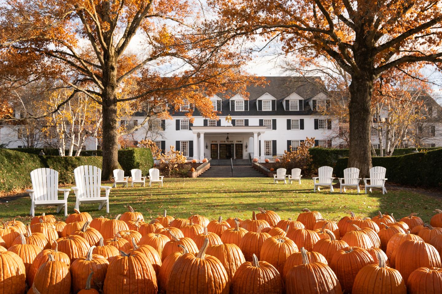 Pumpkins on a lawn with white chairs, large trees, and a white building in the background.