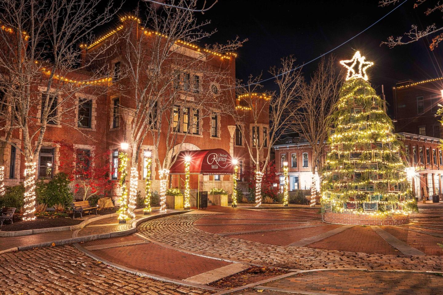 Festive street at night with lit trees and a large decorated Christmas tree.