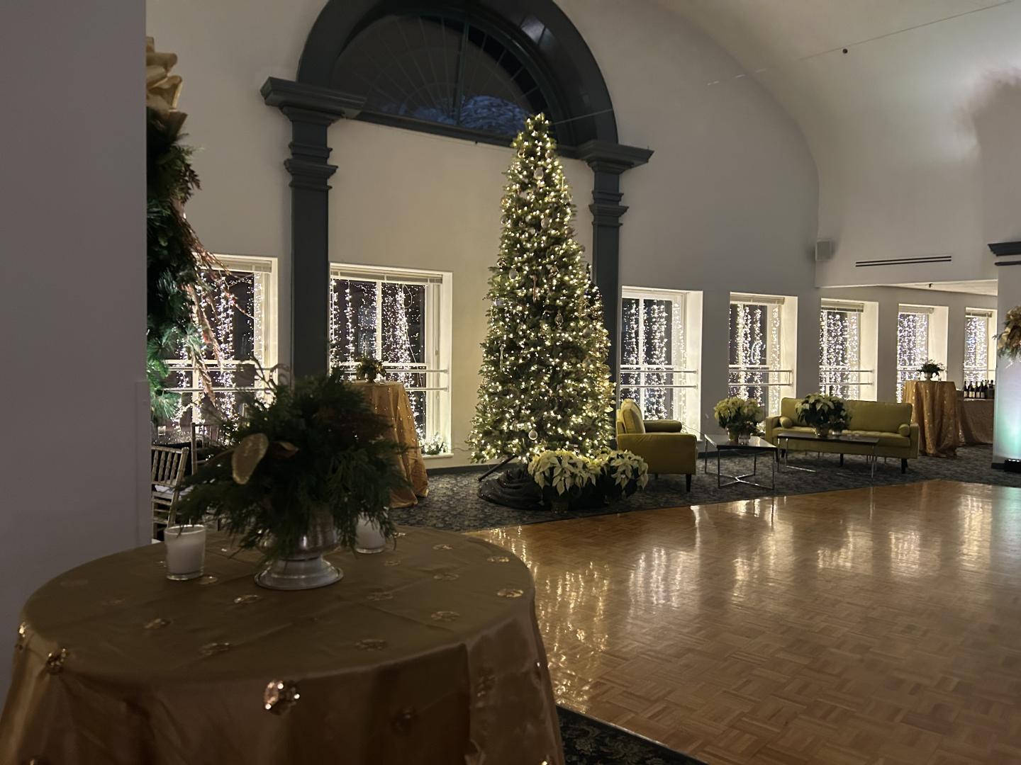 Elegant room with a tall, decorated Christmas tree and festive lights.