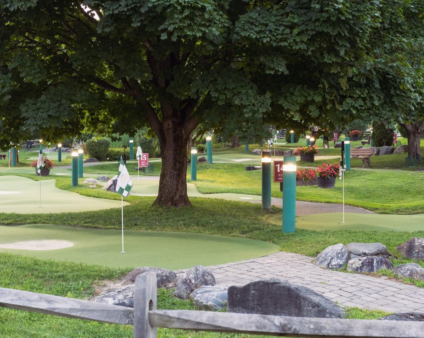 Mini-golf course with green turf, trees, and a wooden fence.