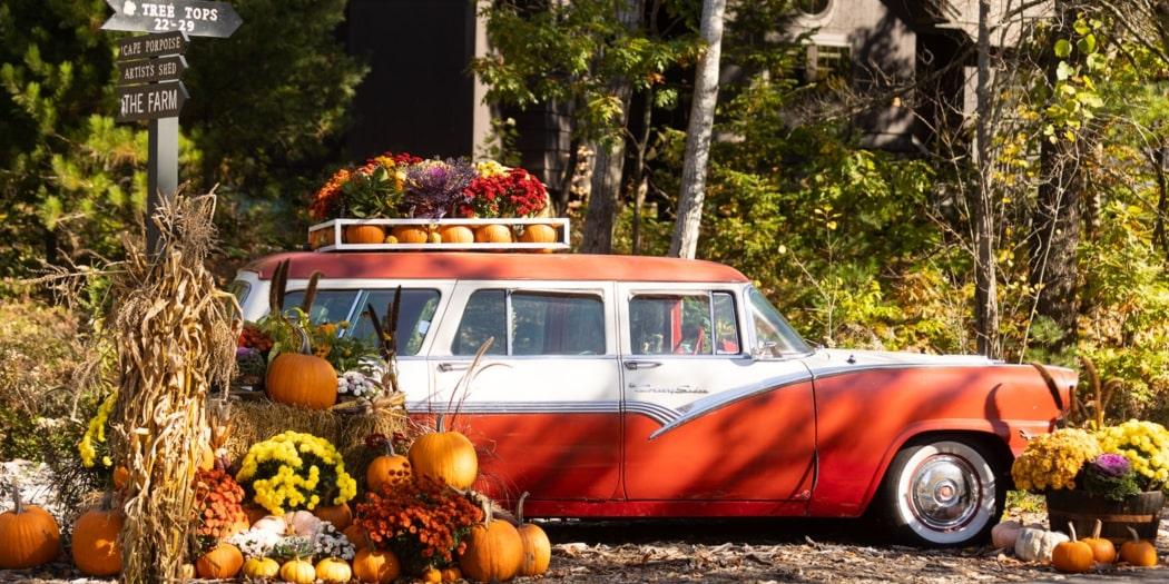 Classic red car adorned with pumpkins and autumn flowers in a forest setting.