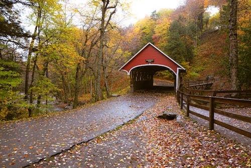 Red covered bridge in a colorful autumn forest pathway.