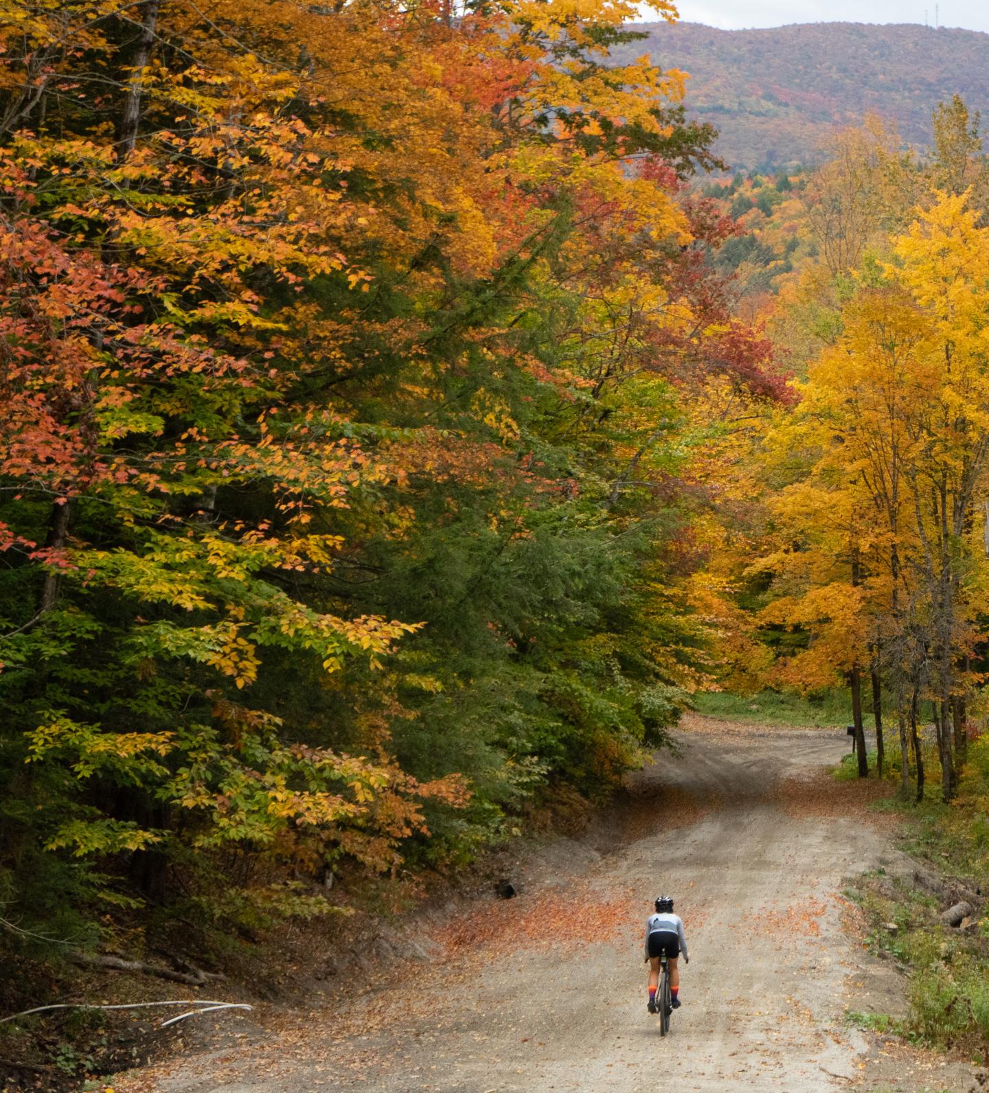 Cyclist on a dirt path through vibrant autumn forest.