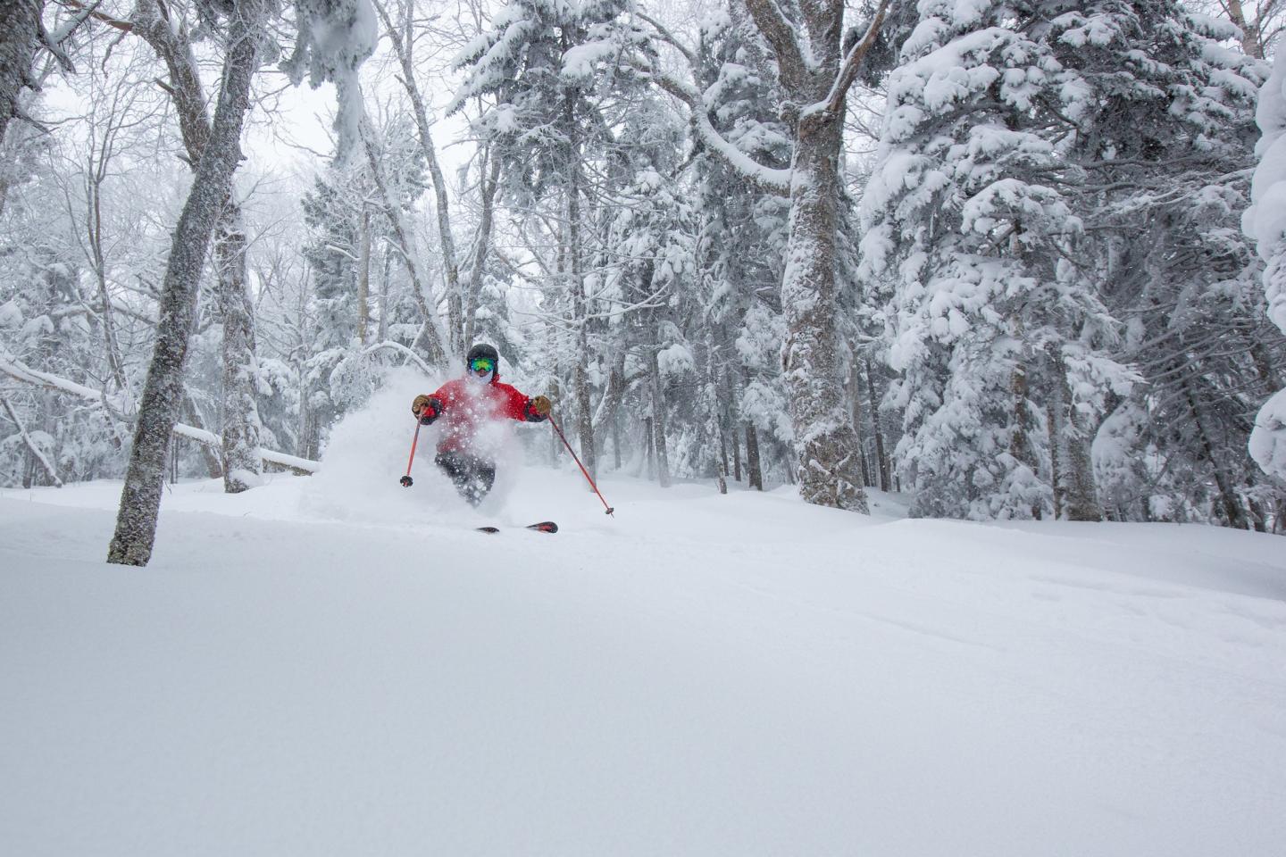 Skier in a red jacket skiing through snow-covered forest.