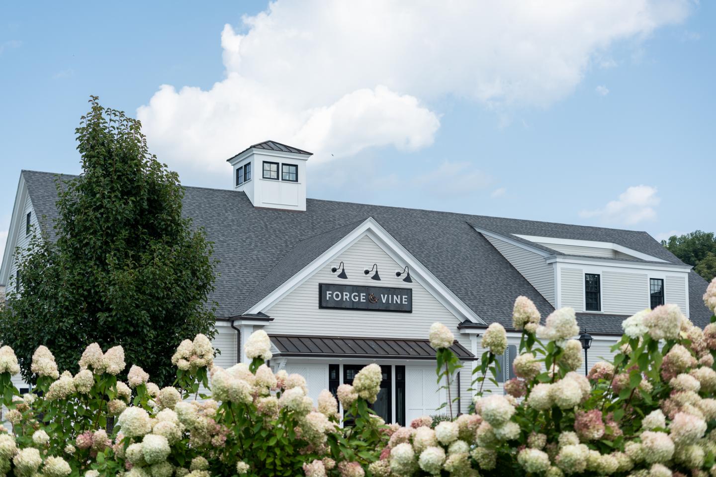 Forge & Vine restaurant with dark roof, surrounded by blooming hydrangeas under a blue sky.