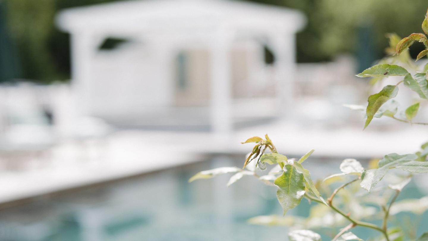 Leafy branch with a blurred pool and white gazebo in the background.