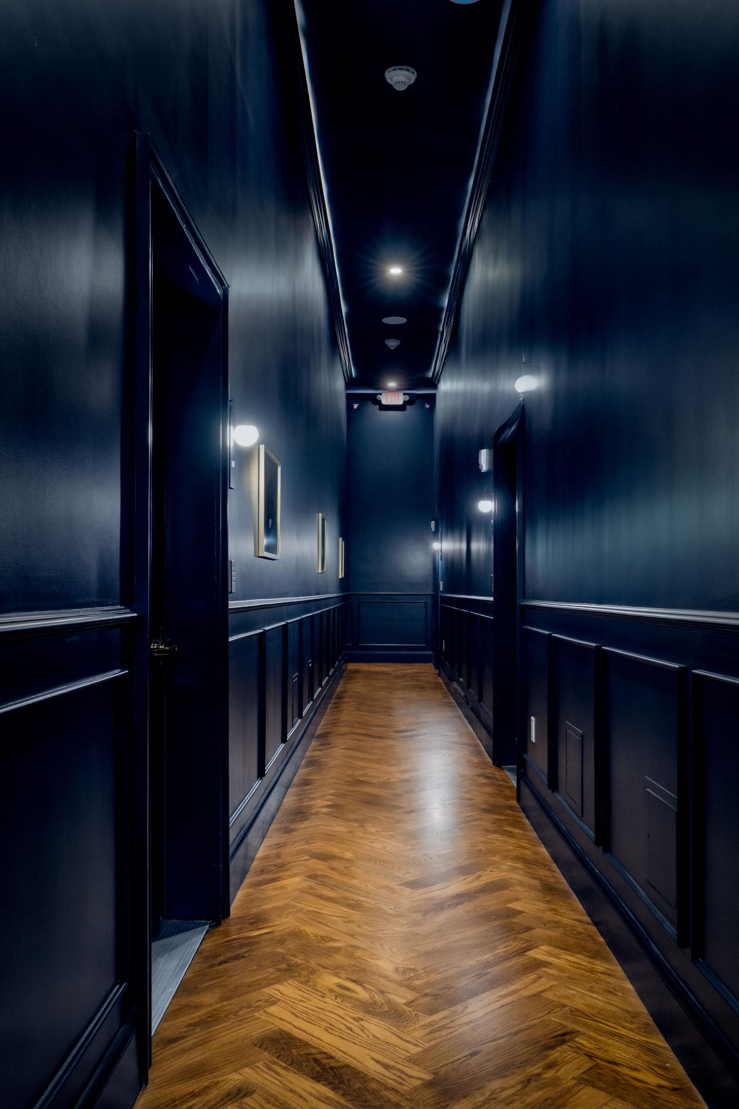 Dimly lit hallway with dark walls and wooden floor.