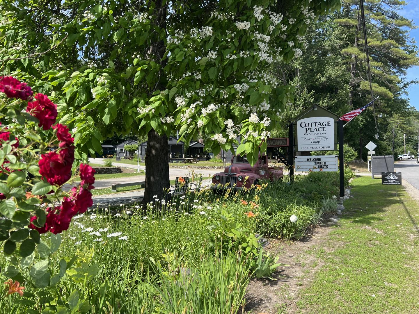 Garden path with blooming flowers, green trees, and a sign alongside a road.