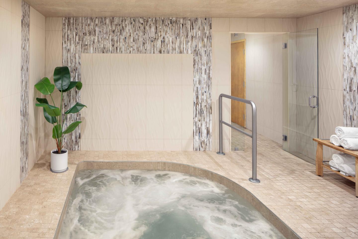Luxurious spa room with a bubbling hot tub, potted plant, and towel rack.