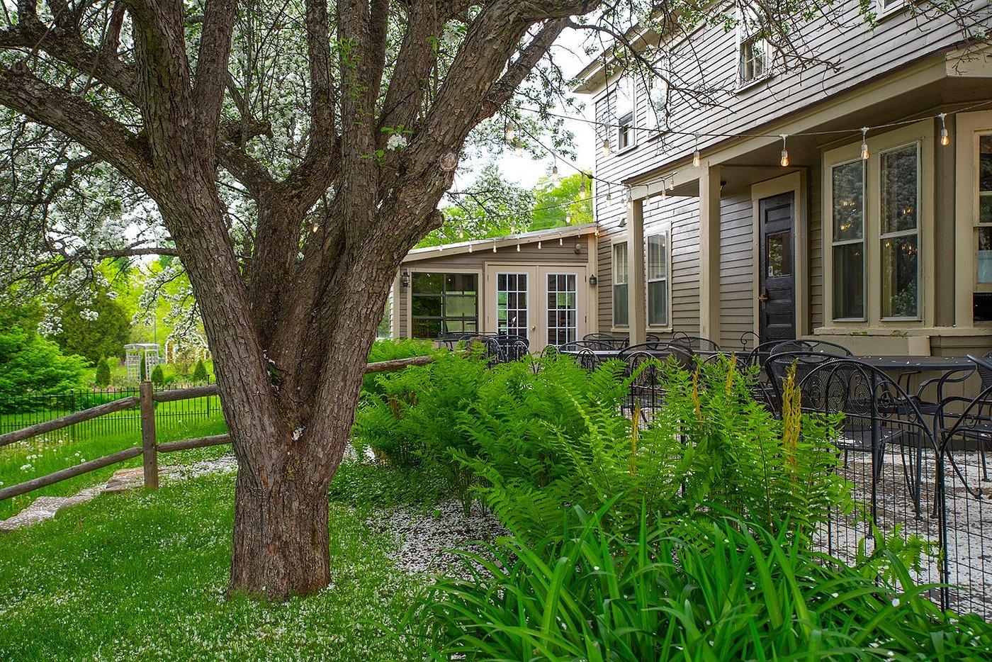 Tree and greenery beside a house with a wooden fence and patio.