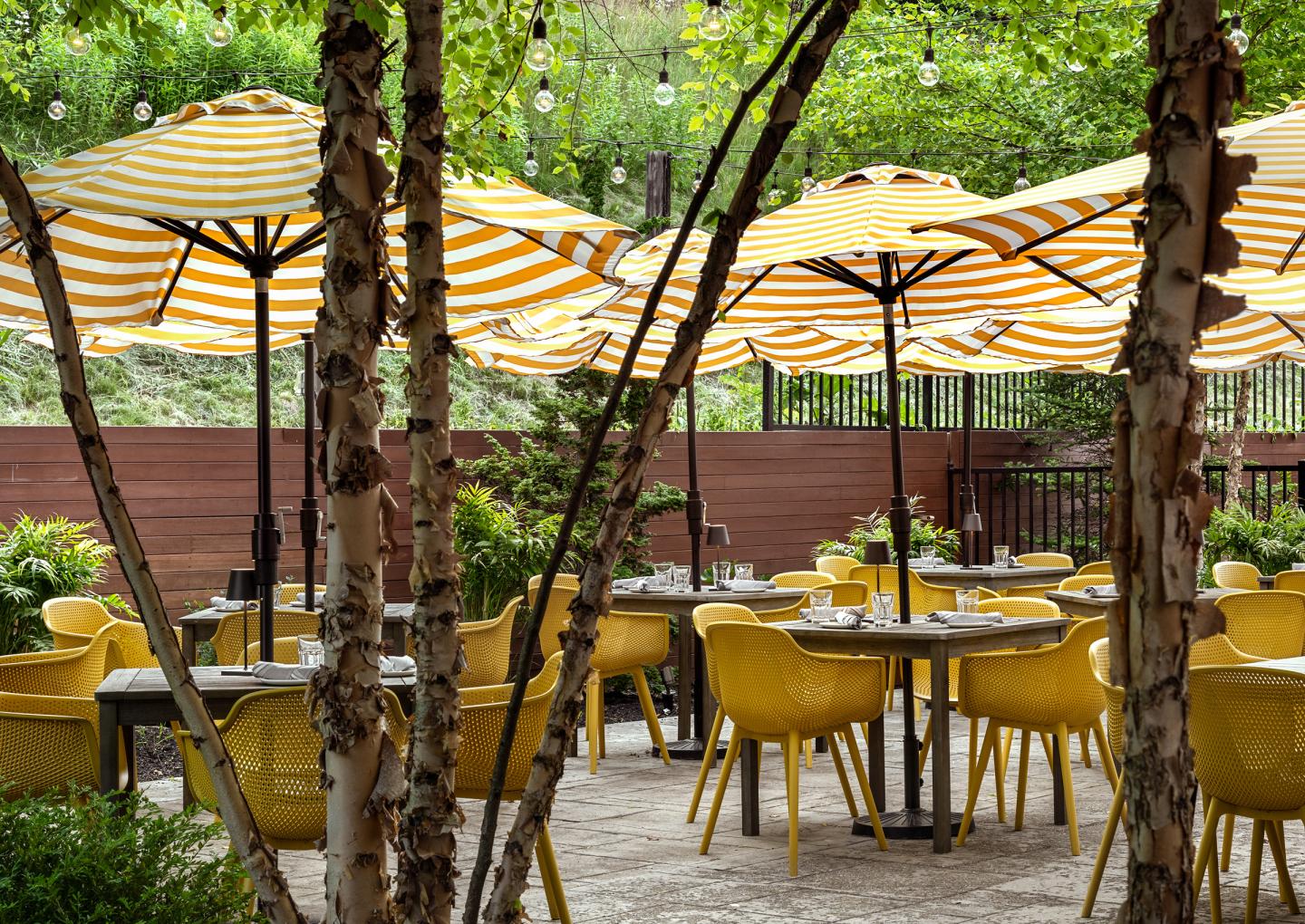 Outdoor patio with yellow chairs, striped umbrellas, and trees.