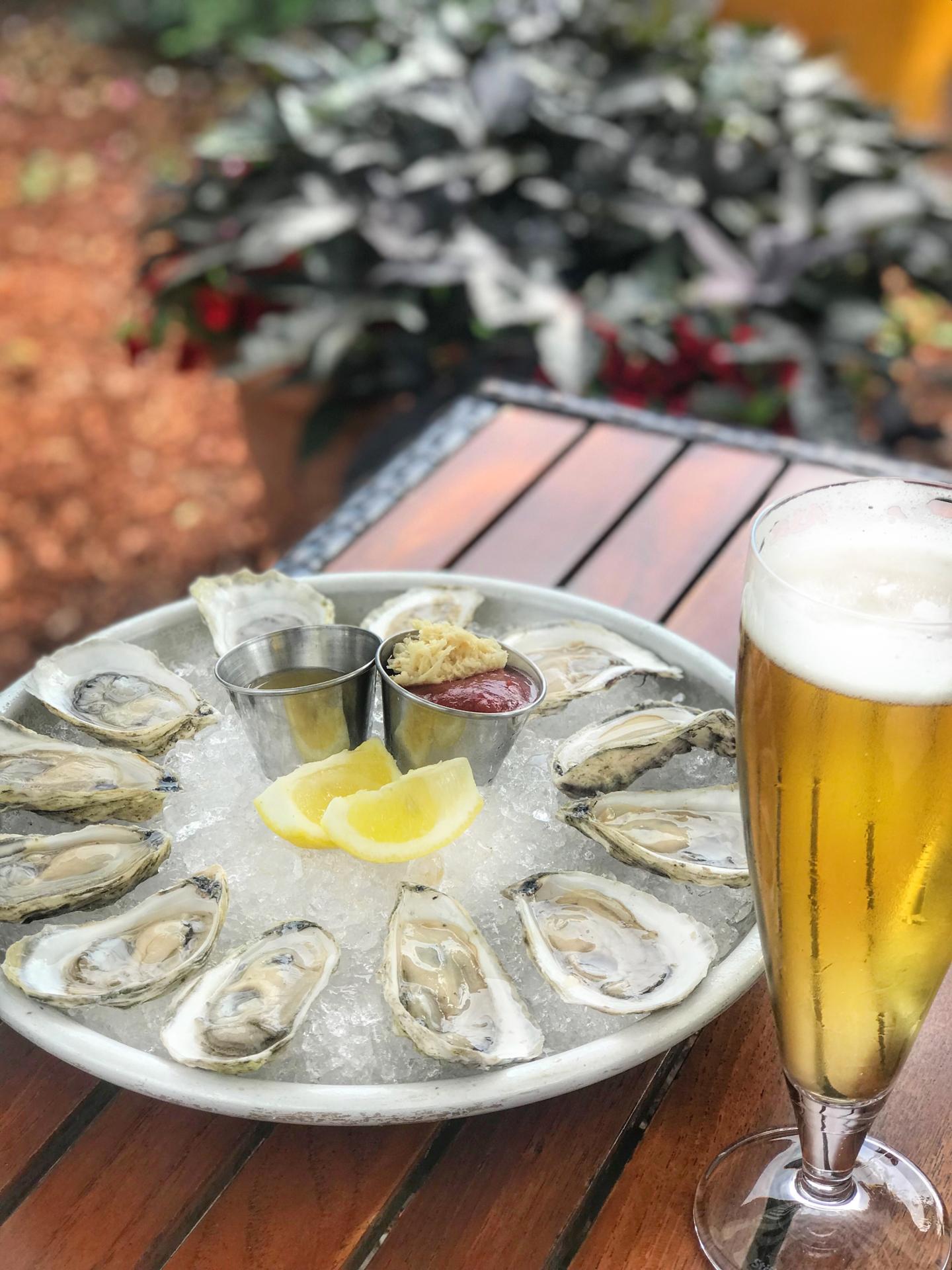 Oysters on ice with lemon and sauce, next to a tall glass of beer.