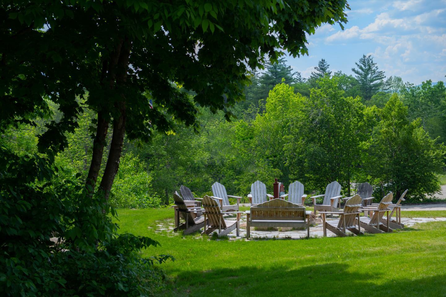 Chairs around a fire pit on a sunny day, surrounded by trees.
