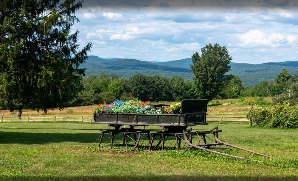 Old wagon with flowers on a grassy field, mountains in the background.