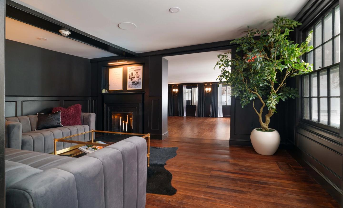 Sophisticated living room with dark walls, large plant, and cozy fireplace.