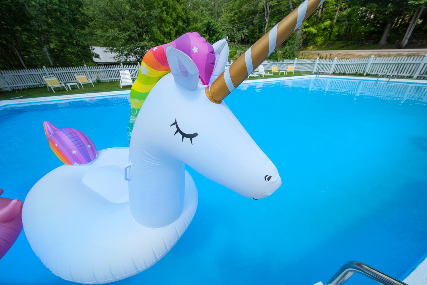 Large unicorn float in a blue swimming pool.