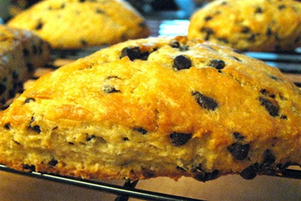 Chocolate chip scones cooling on a wire rack.