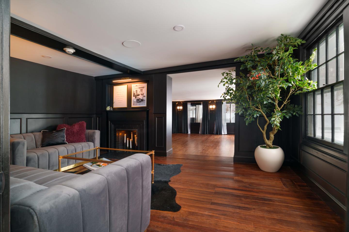 Modern living room with gray sofa, fireplace, large plant, and hardwood floor.