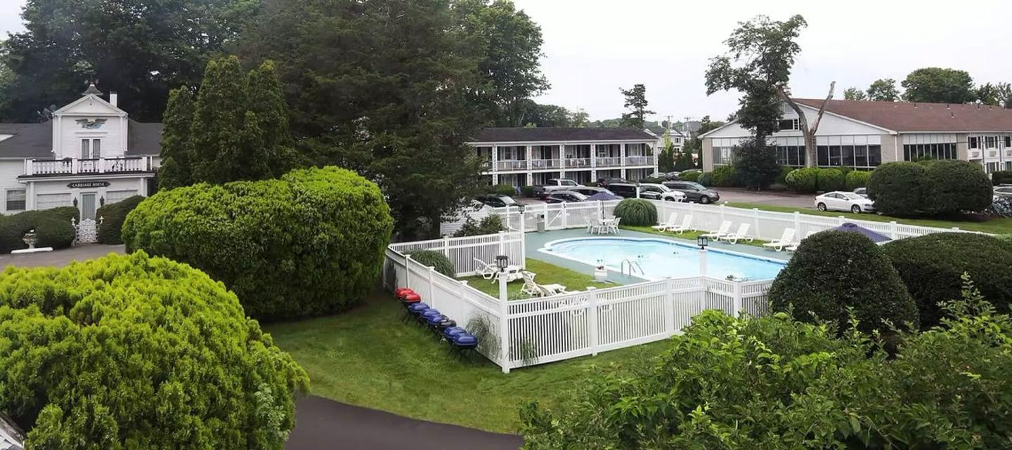 Lush green garden with a fenced pool, surrounded by buildings and trees.