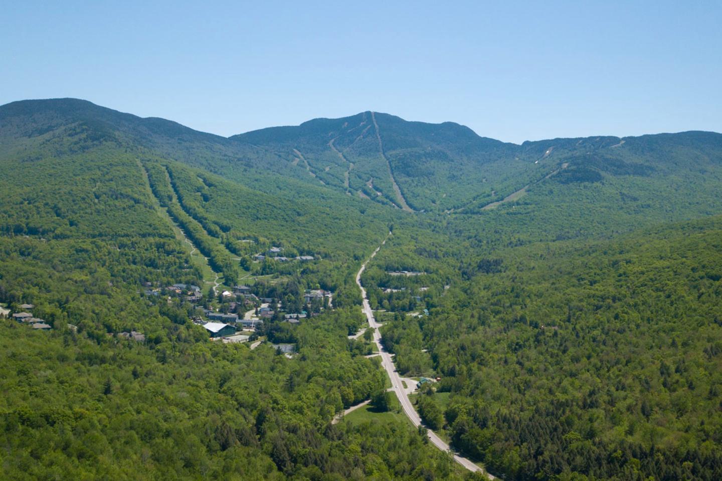 Aerial view of a lush green forest with a winding road and distant mountains.