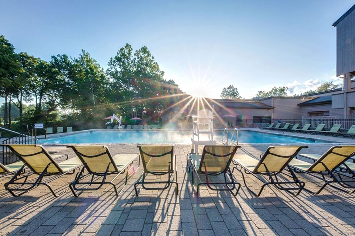 Sunlit pool with chairs and trees in the background.